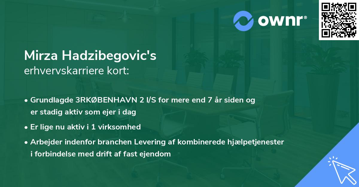 Mirza Hadzibegovic's erhvervskarriere kort