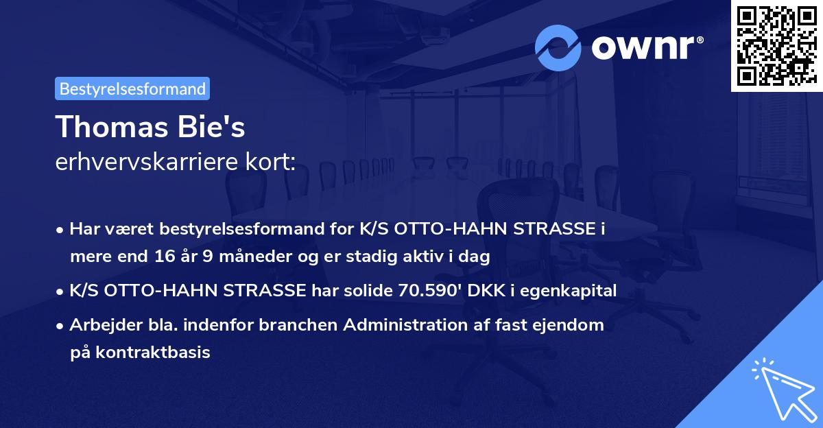 Thomas Bie's erhvervskarriere kort