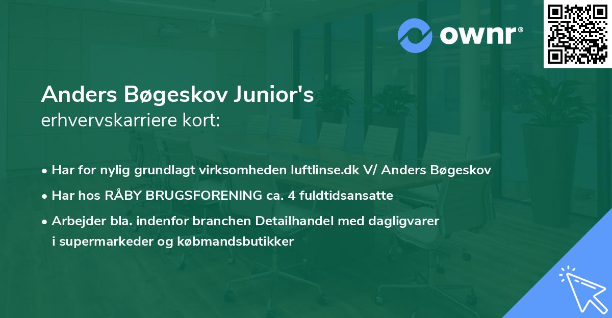 Anders Bøgeskov Junior's erhvervskarriere kort