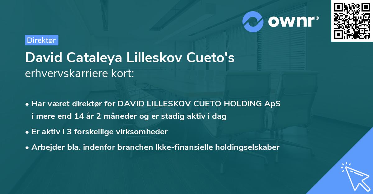 David Cataleya Lilleskov Cueto's erhvervskarriere kort