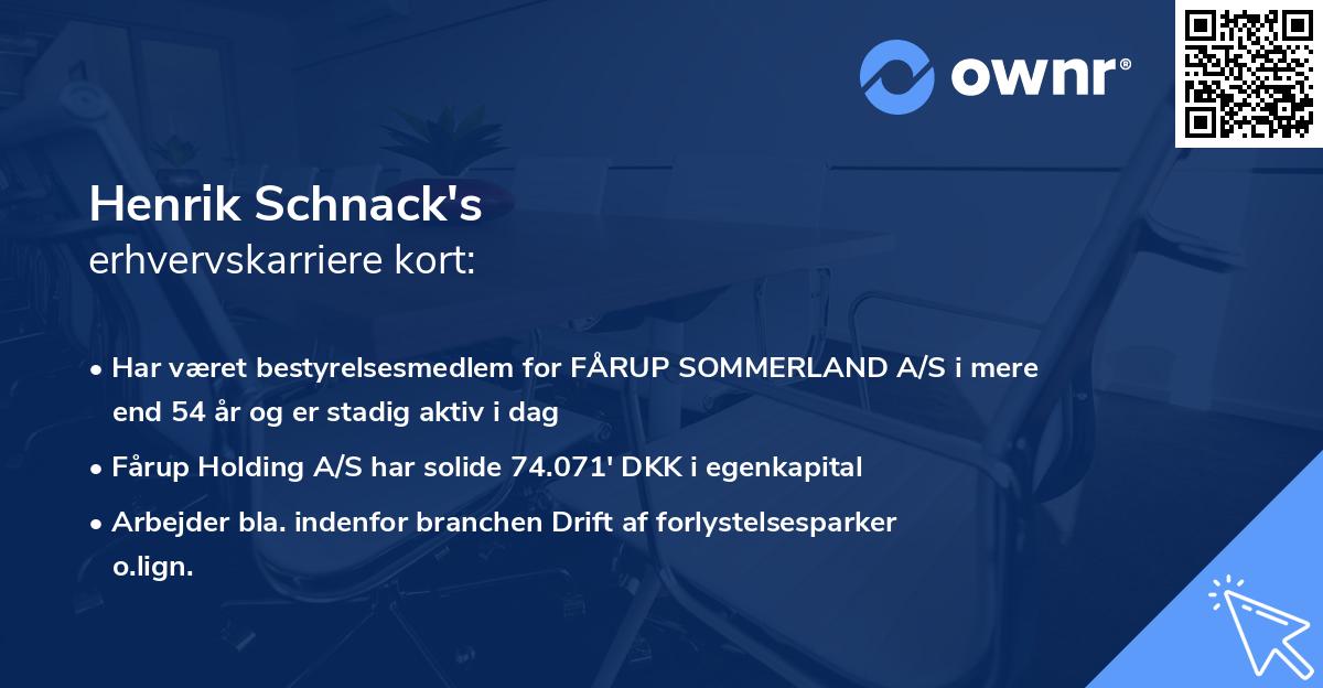 Henrik Schnack's erhvervskarriere kort