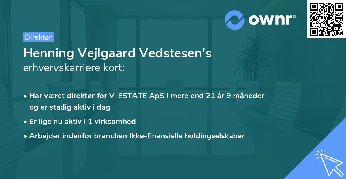 Henning Vejlgaard Vedstesen's erhvervskarriere kort