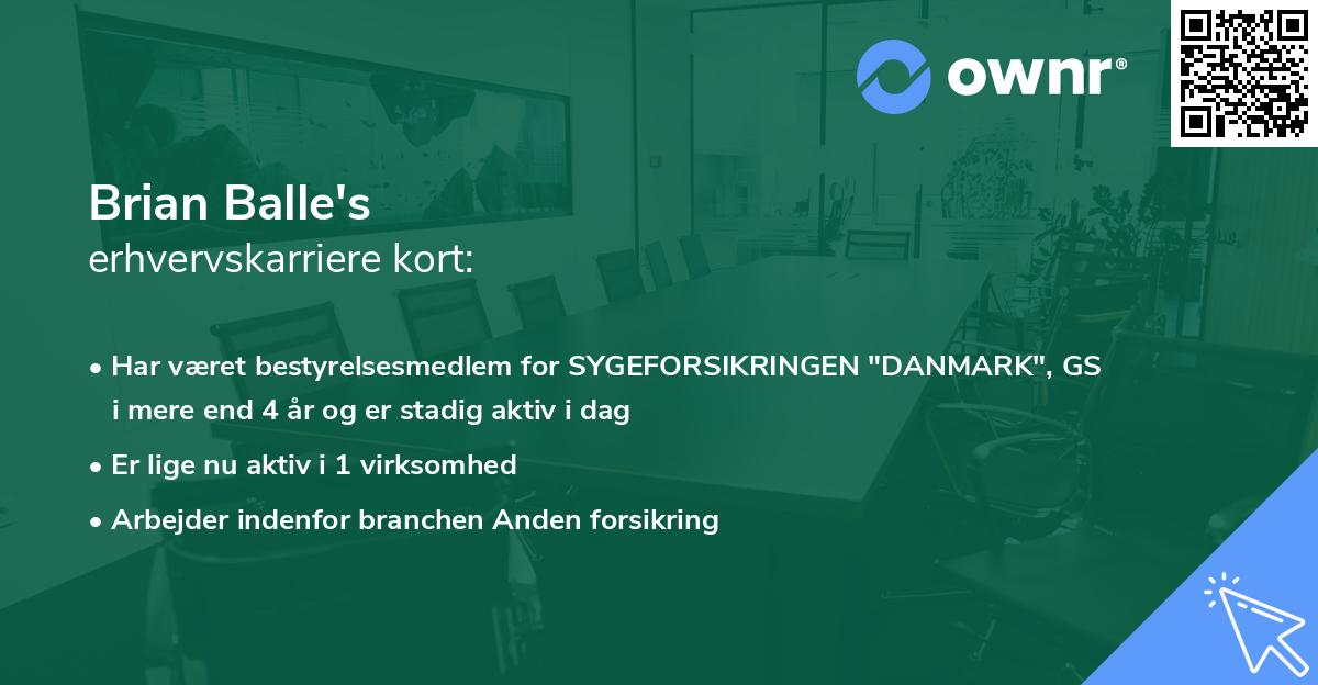 Brian Balle's erhvervskarriere kort