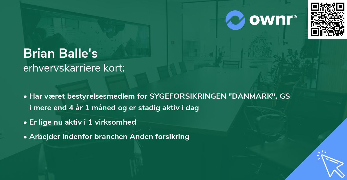 Brian Balle's erhvervskarriere kort