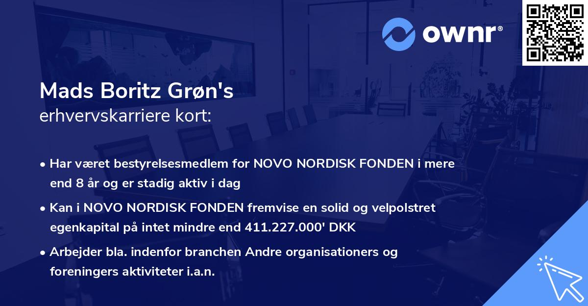 Mads Boritz Grøn's erhvervskarriere kort