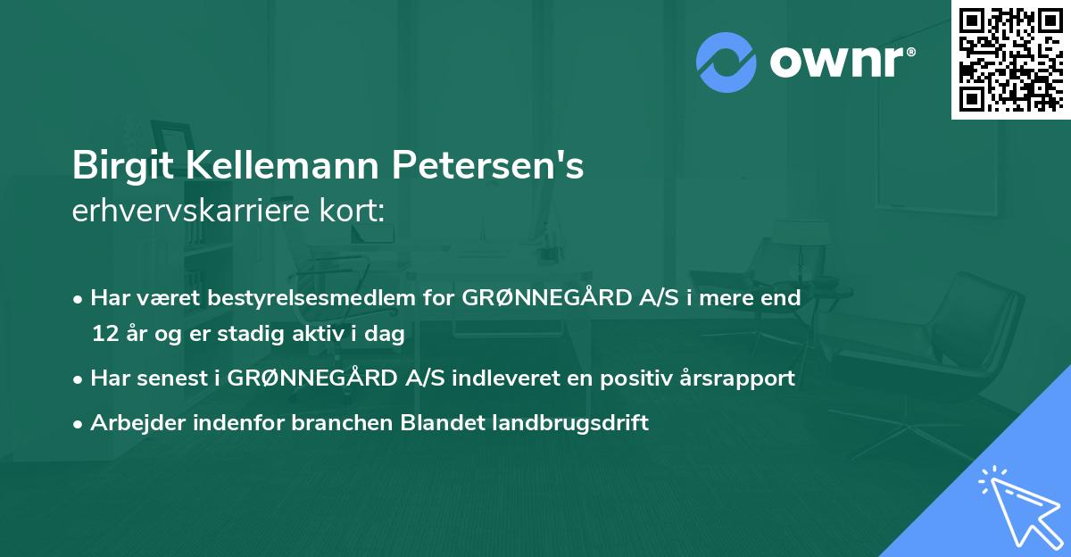 Birgit Kellemann Petersen's erhvervskarriere kort