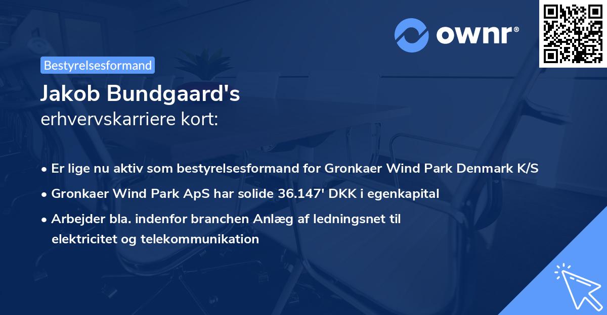Jakob Bundgaard's erhvervskarriere kort