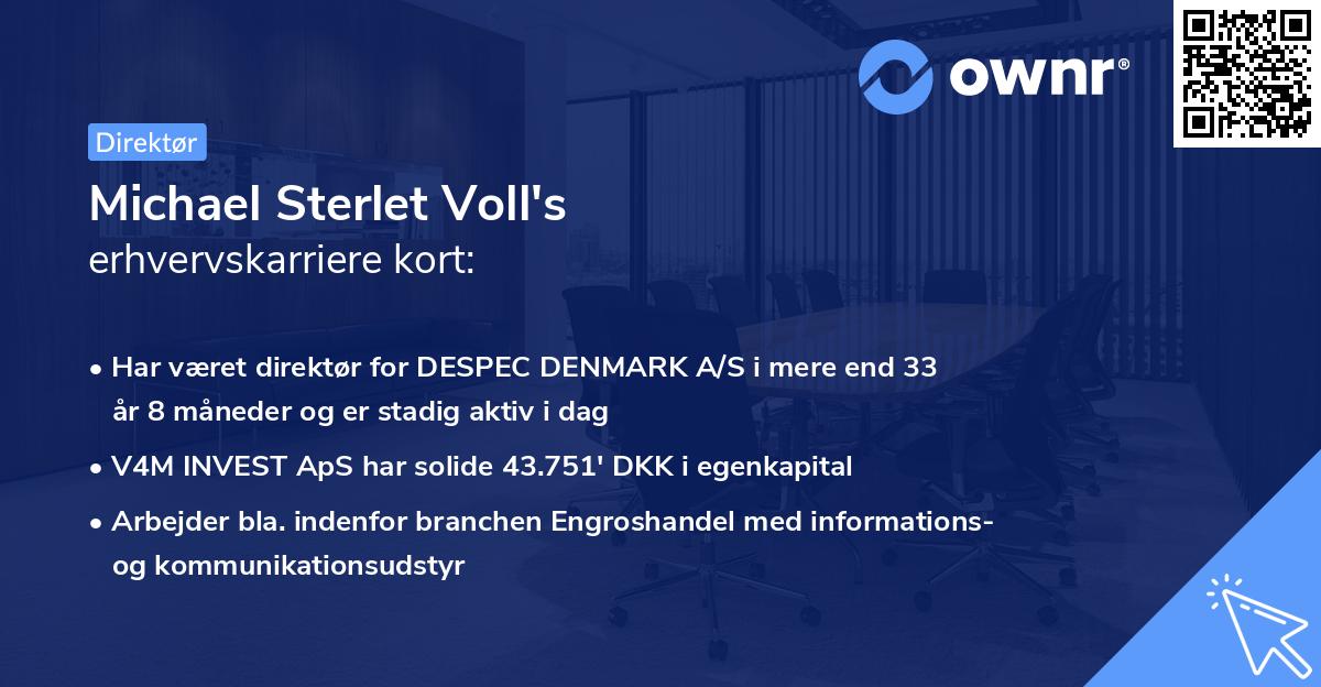 Michael Sterlet Voll's erhvervskarriere kort