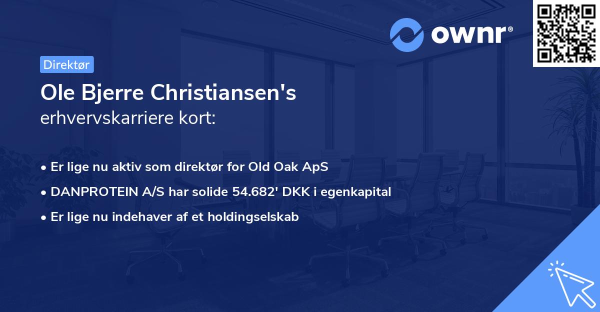 Ole Bjerre Christiansen's erhvervskarriere kort