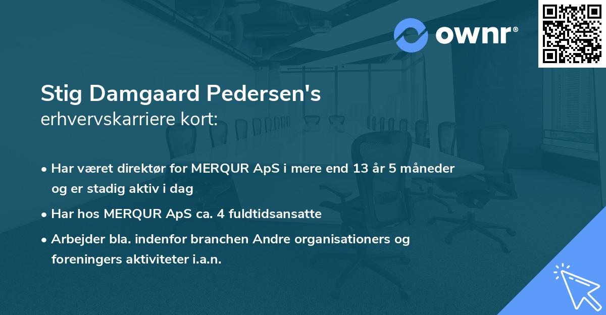 Stig Damgaard Pedersen's erhvervskarriere kort