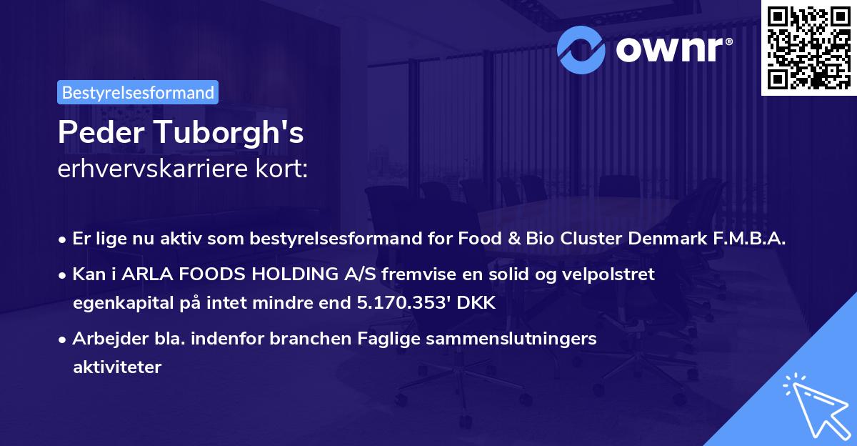 Peder Tuborgh's erhvervskarriere kort