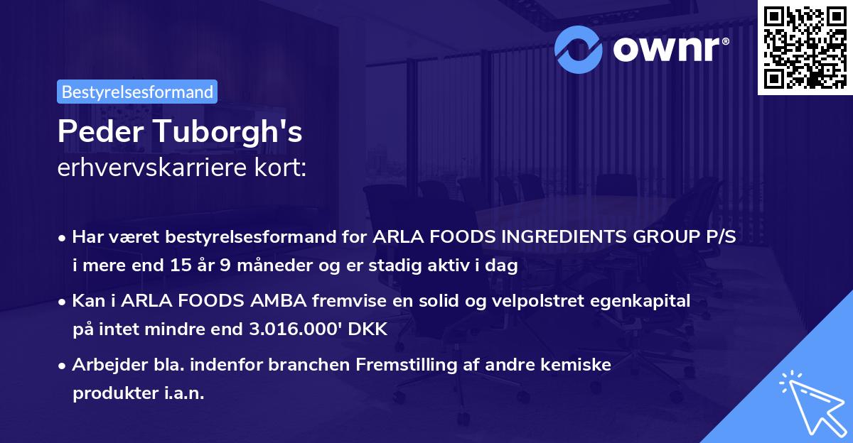 Peder Tuborgh's erhvervskarriere kort