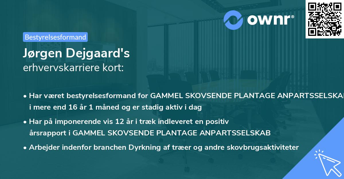 Jørgen Dejgaard's erhvervskarriere kort