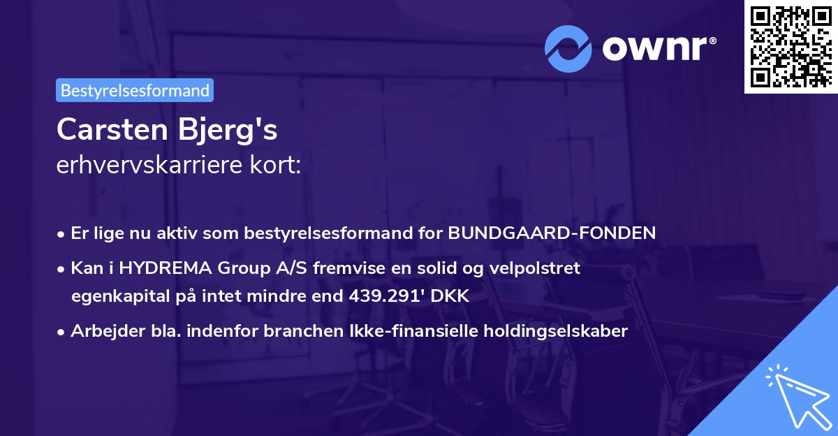 Carsten Bjerg's erhvervskarriere kort