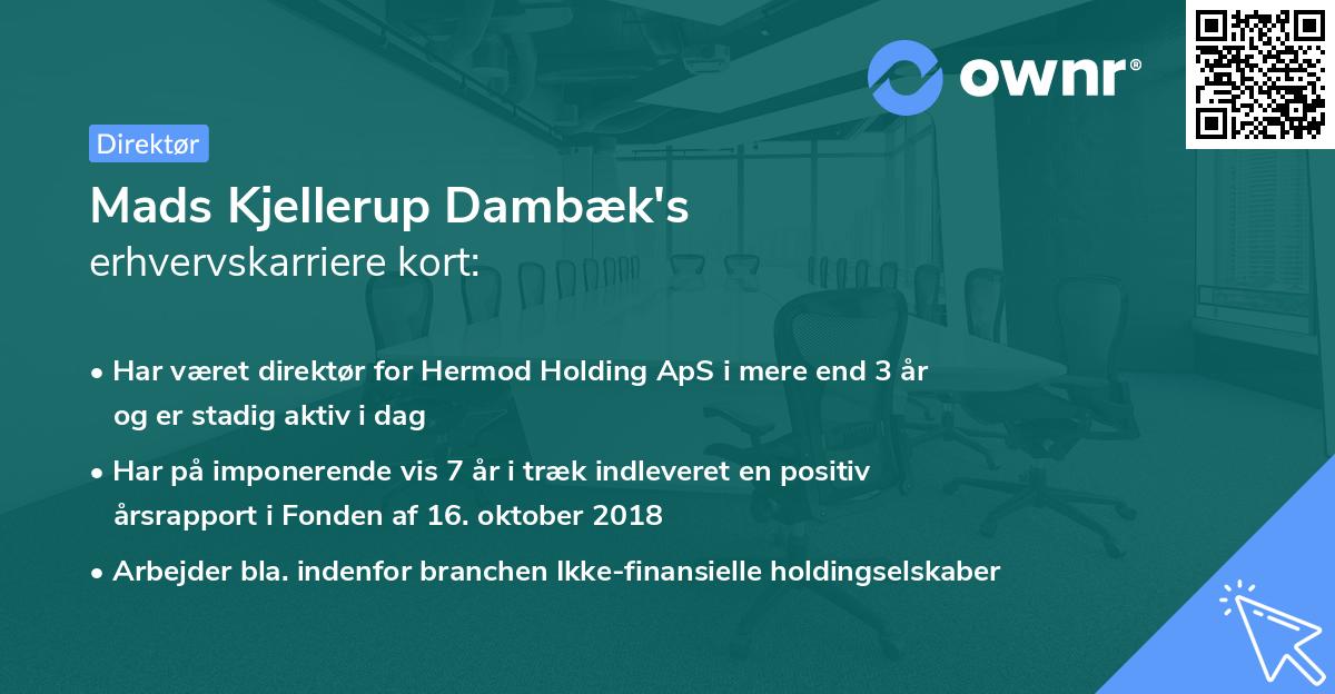 Mads Kjellerup Dambæk's erhvervskarriere kort