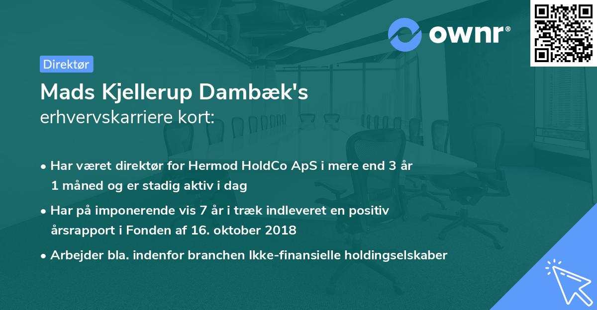 Mads Kjellerup Dambæk's erhvervskarriere kort