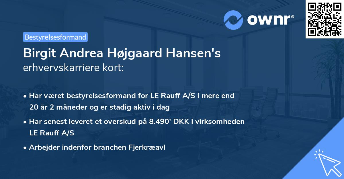Birgit Andrea Højgaard Hansen's erhvervskarriere kort