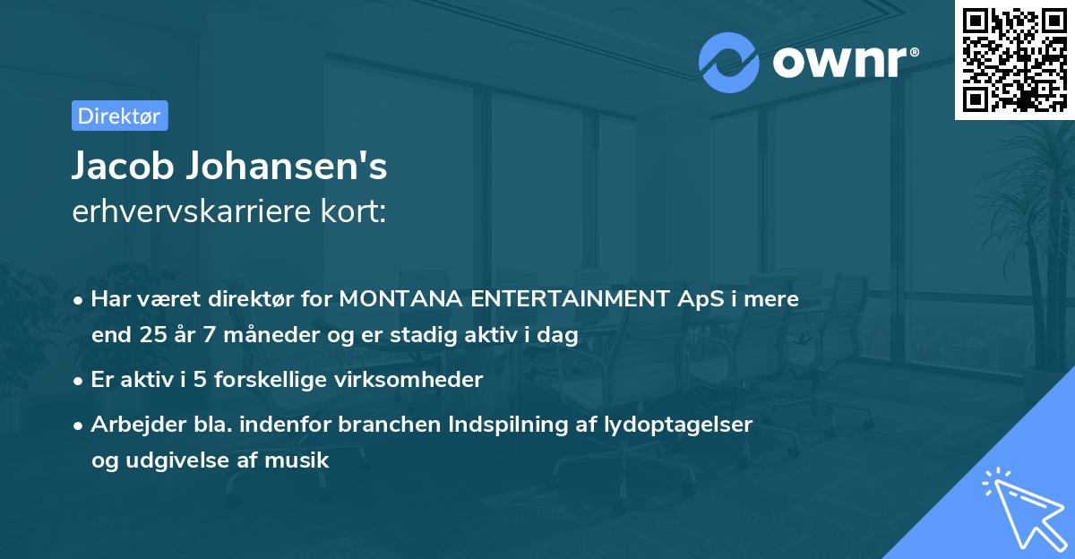 Jacob Johansen's erhvervskarriere kort