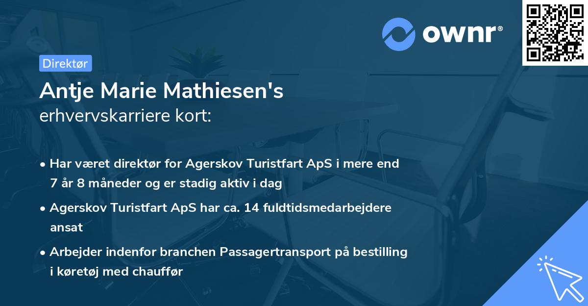 Antje Marie Mathiesen's erhvervskarriere kort