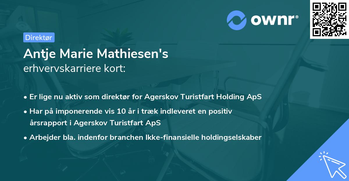 Antje Marie Mathiesen's erhvervskarriere kort
