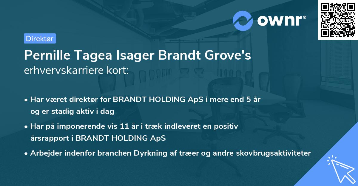 Pernille Tagea Isager Brandt Grove's erhvervskarriere kort