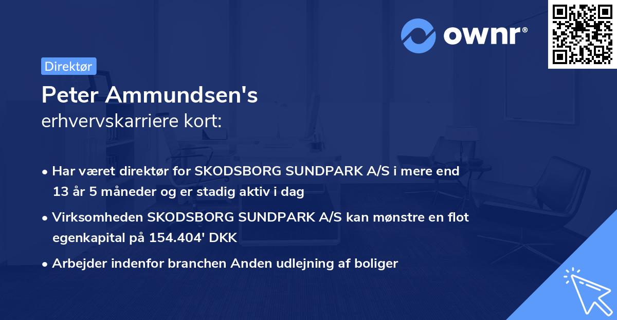 Peter Ammundsen's erhvervskarriere kort