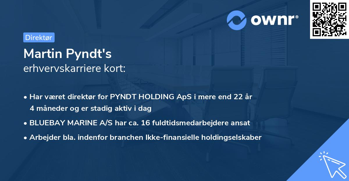 Martin Pyndt's erhvervskarriere kort