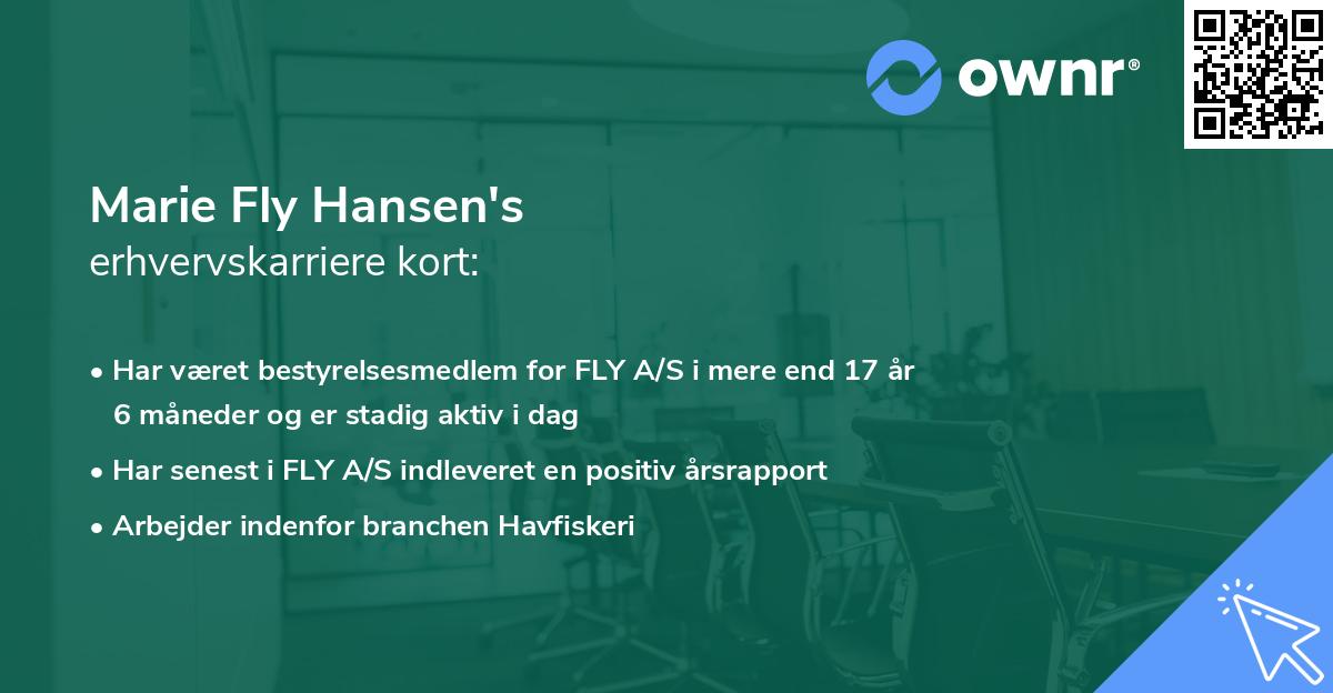 Marie Fly Hansen's erhvervskarriere kort