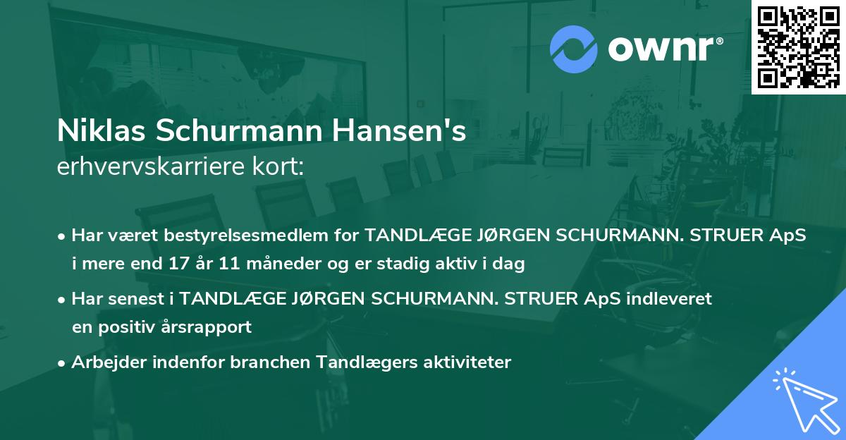 Niklas Schurmann Hansen's erhvervskarriere kort