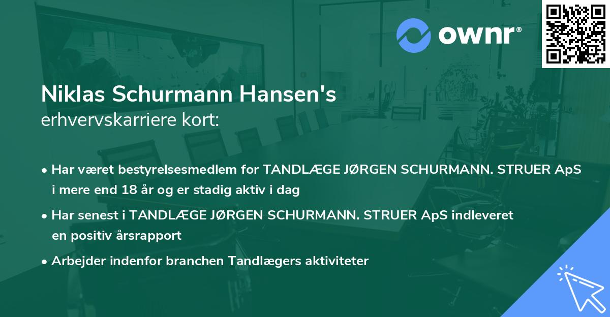 Niklas Schurmann Hansen's erhvervskarriere kort