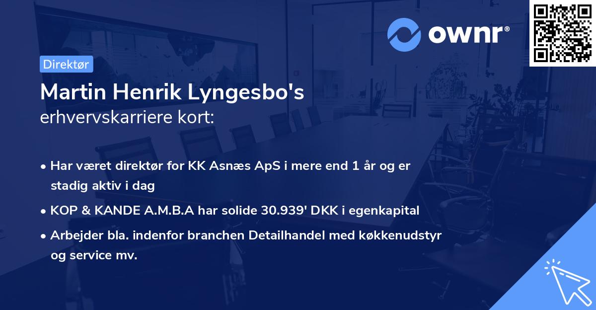 Martin Henrik Lyngesbo's erhvervskarriere kort