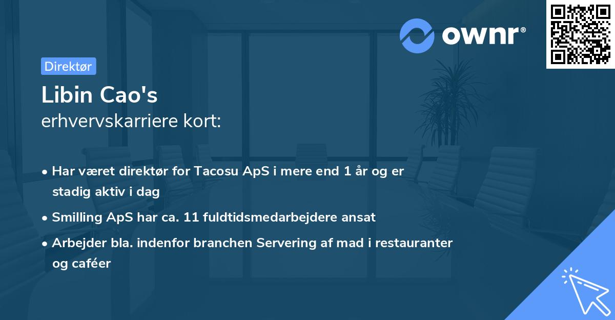 Libin Cao's erhvervskarriere kort