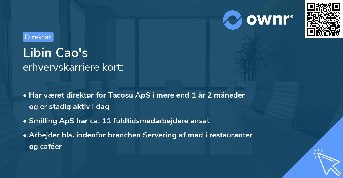 Libin Cao's erhvervskarriere kort