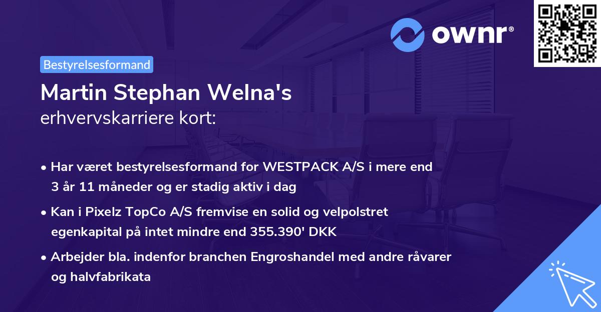 Martin Stephan Welna's erhvervskarriere kort