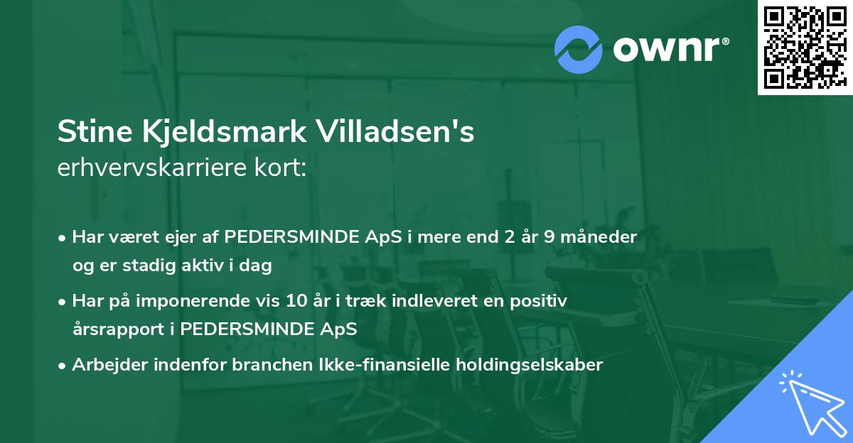 Stine Kjeldsmark Villadsen's erhvervskarriere kort