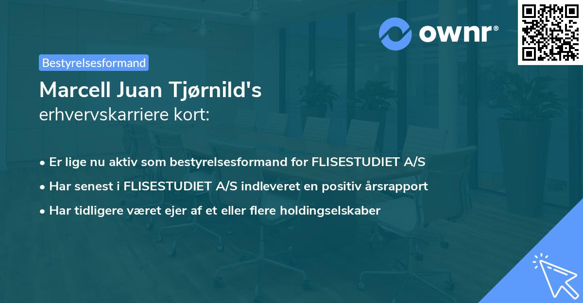 Marcell Juan Tjørnild's erhvervskarriere kort