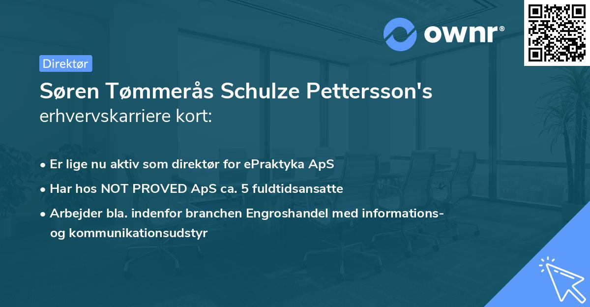 Søren Tømmerås Schulze Pettersson's erhvervskarriere kort