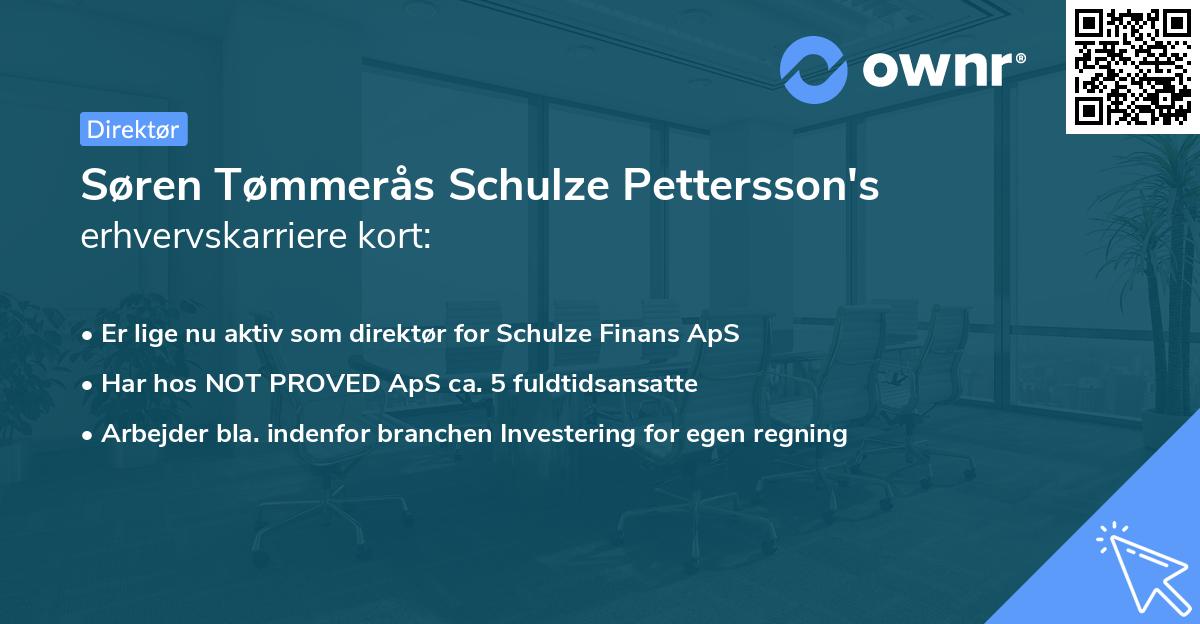 Søren Tømmerås Schulze Pettersson's erhvervskarriere kort