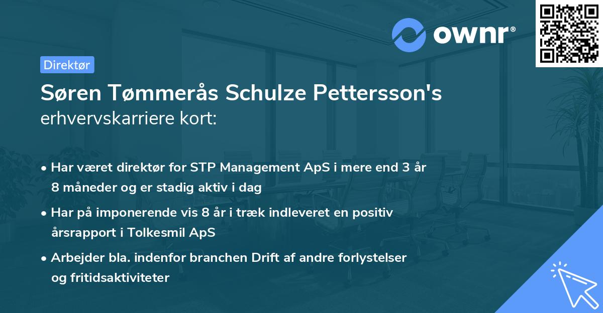 Søren Tømmerås Schulze Pettersson's erhvervskarriere kort