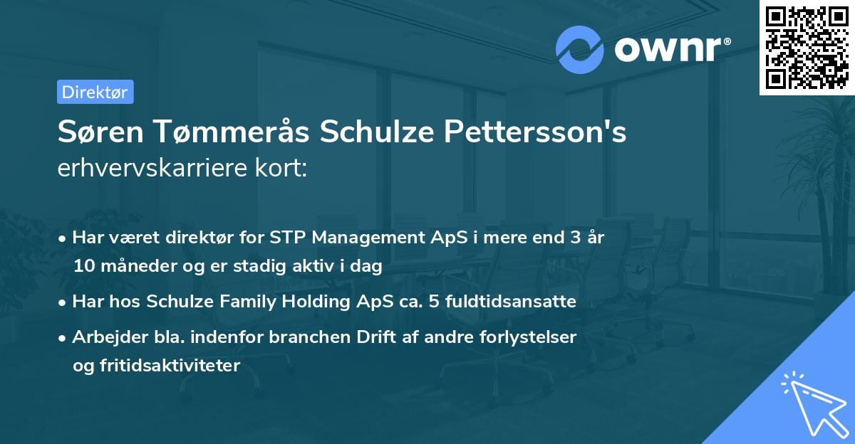 Søren Tømmerås Schulze Pettersson's erhvervskarriere kort
