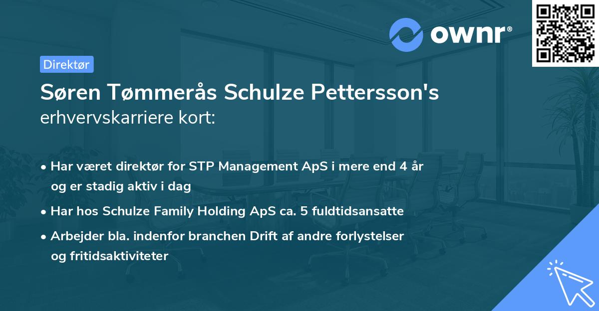 Søren Tømmerås Schulze Pettersson's erhvervskarriere kort