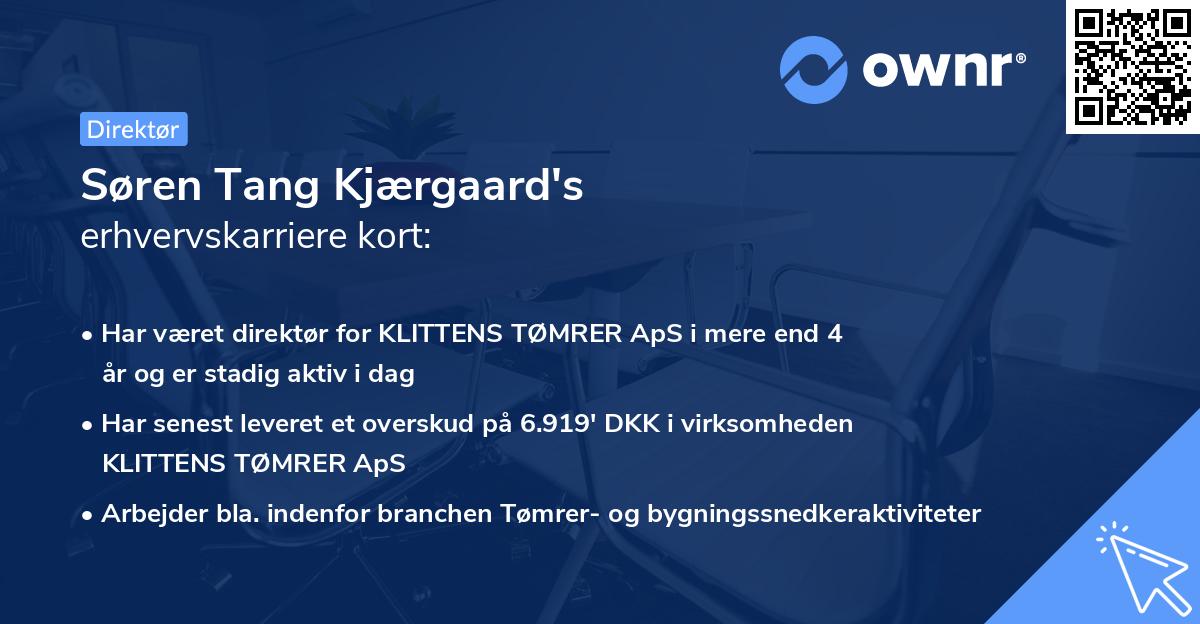Søren Tang Kjærgaard's erhvervskarriere kort