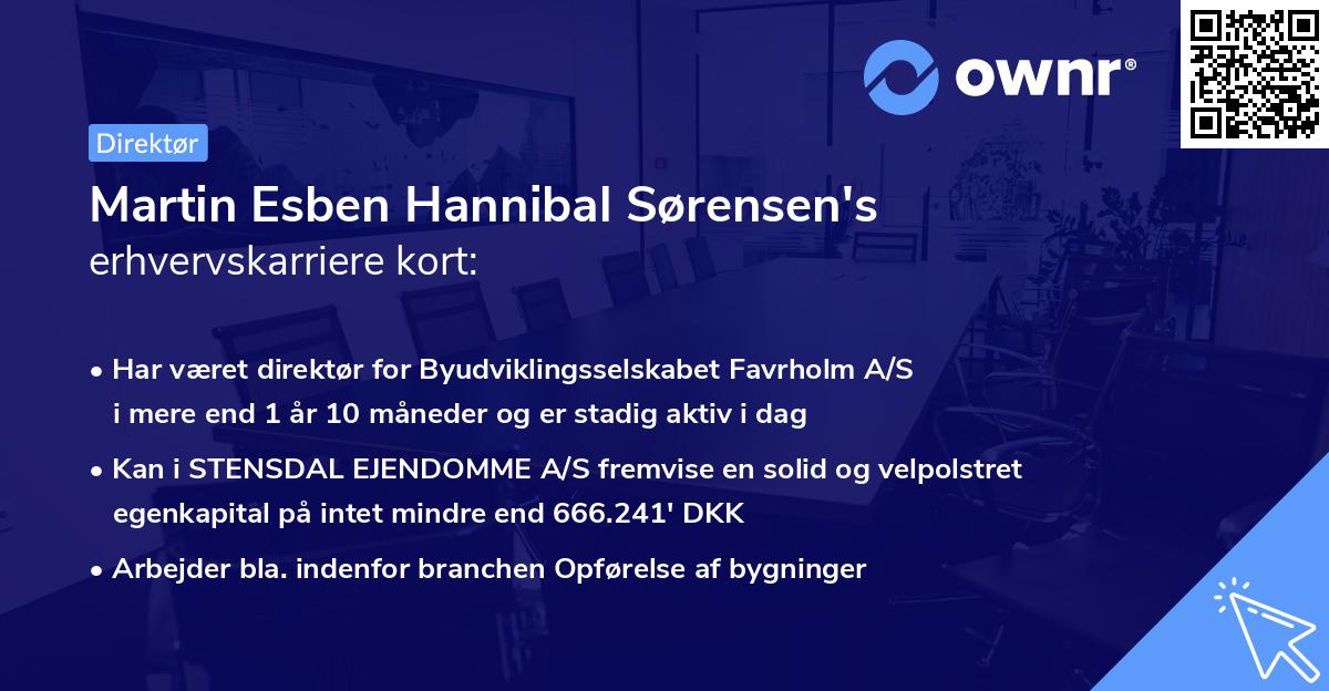 Martin Esben Hannibal Sørensen's erhvervskarriere kort