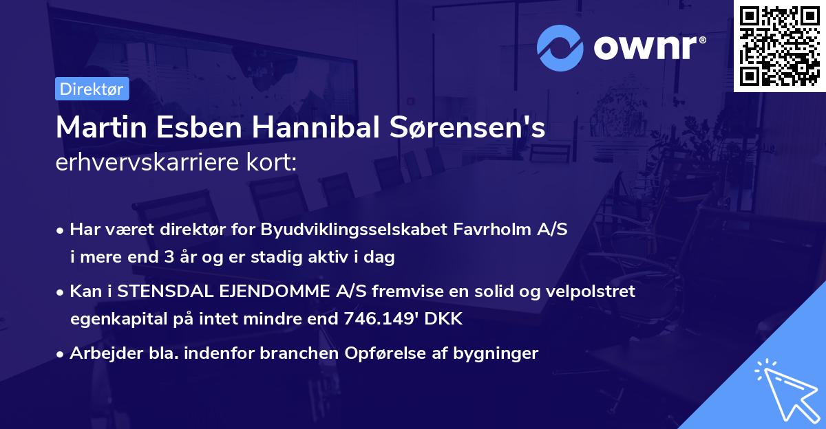 Martin Esben Hannibal Sørensen's erhvervskarriere kort