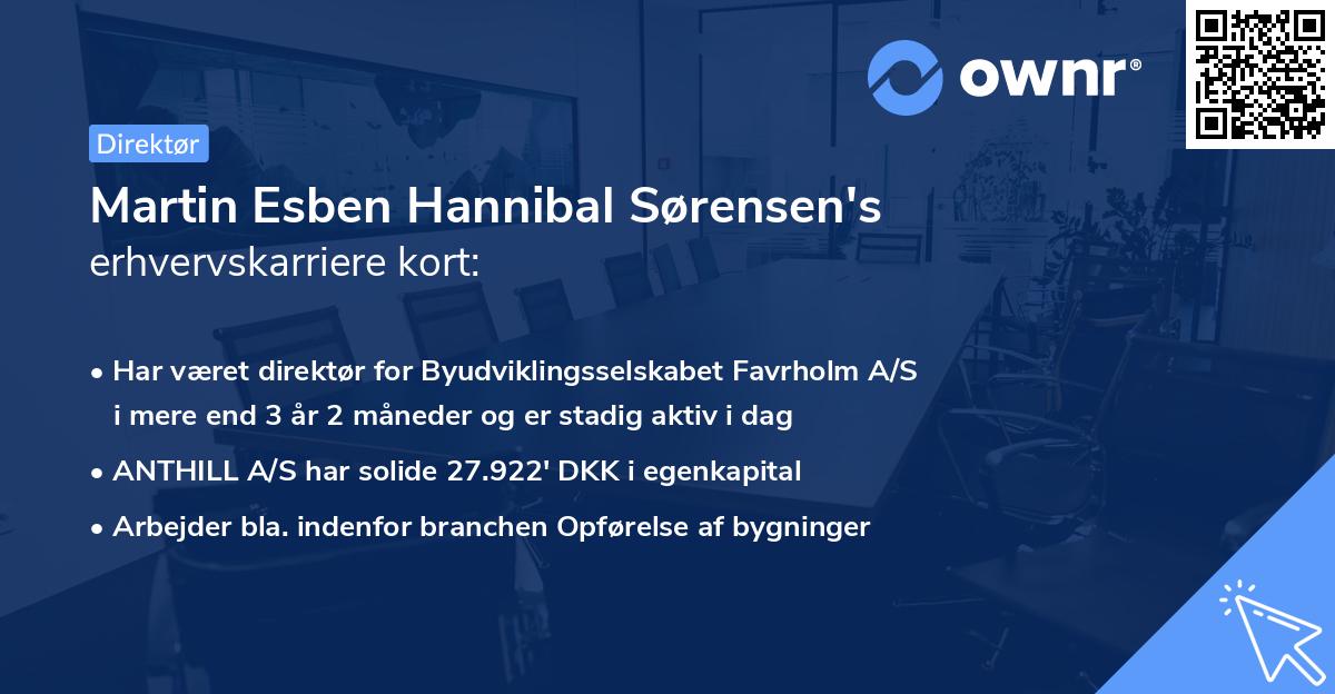 Martin Esben Hannibal Sørensen's erhvervskarriere kort