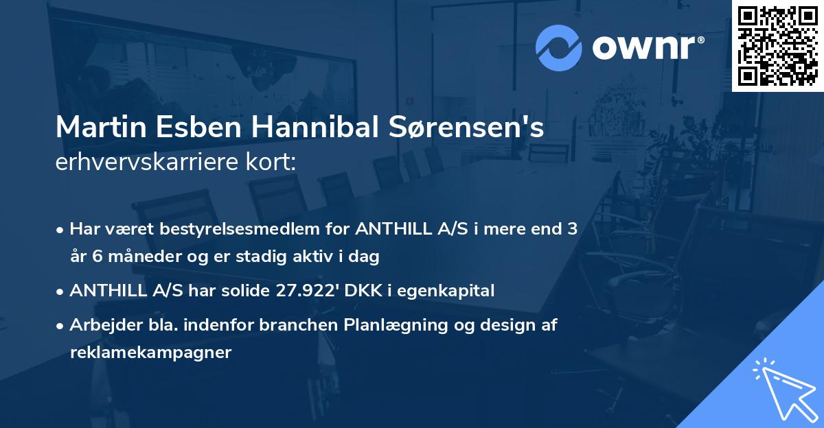 Martin Esben Hannibal Sørensen's erhvervskarriere kort