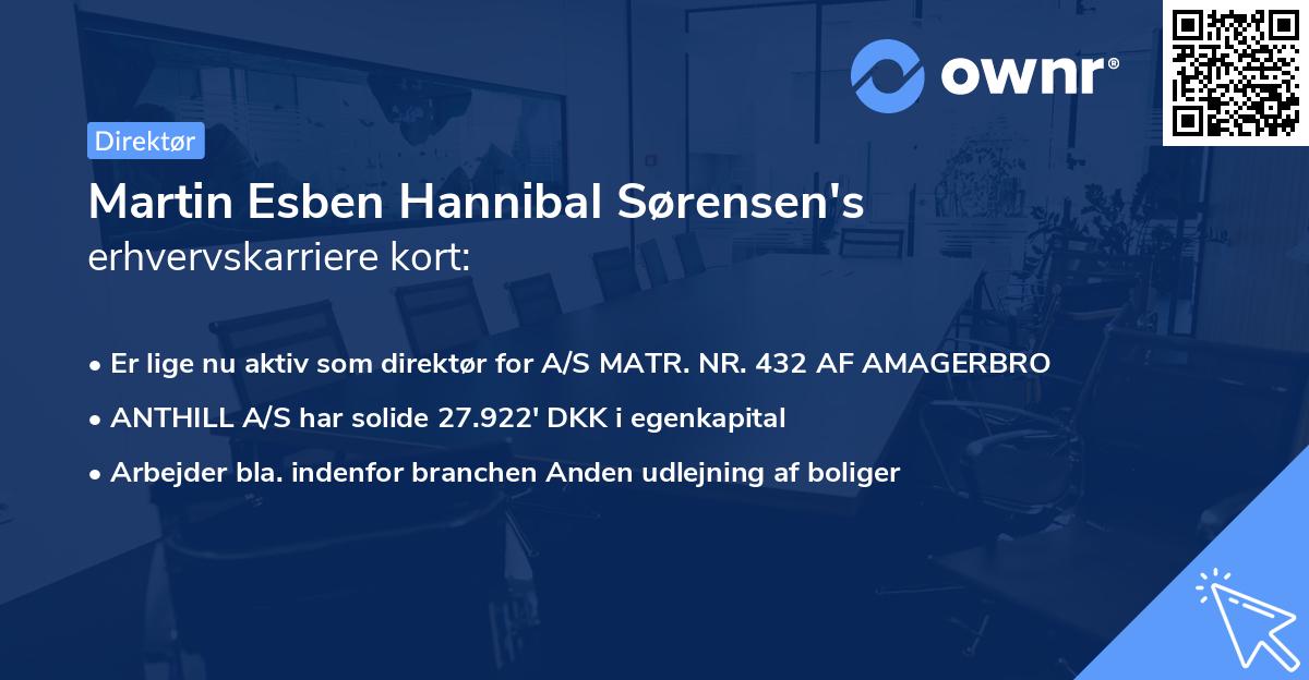 Martin Esben Hannibal Sørensen's erhvervskarriere kort