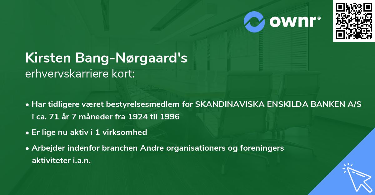Kirsten Bang-Nørgaard's erhvervskarriere kort