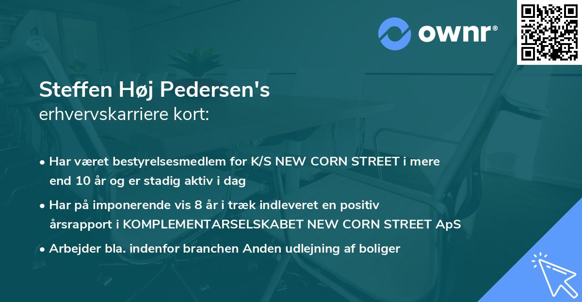 Steffen Høj Pedersen's erhvervskarriere kort