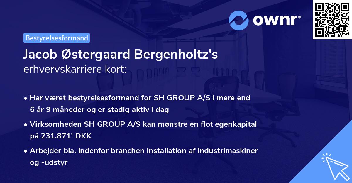 Jacob Østergaard Bergenholtz's erhvervskarriere kort
